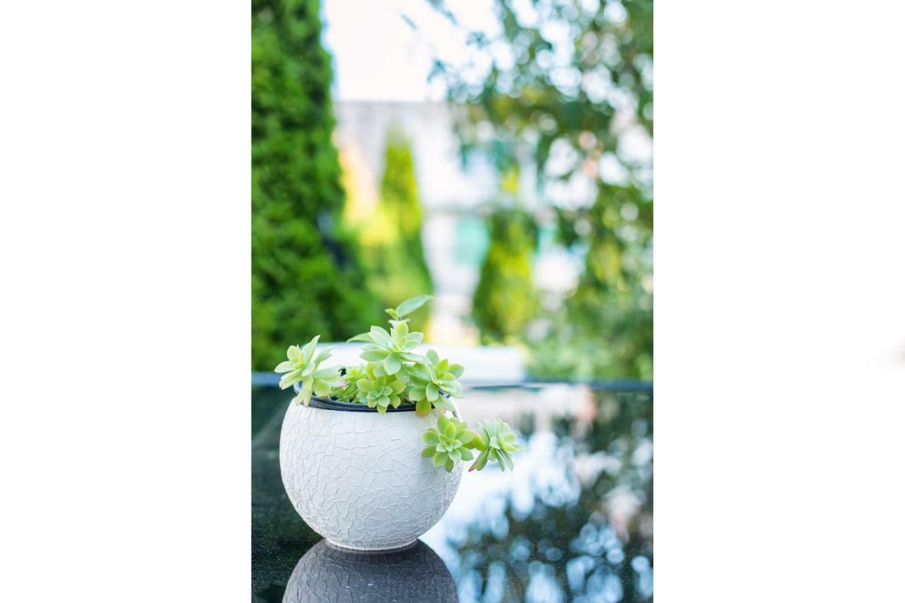 Apartments Lipic Водице Екстер'єр фото
